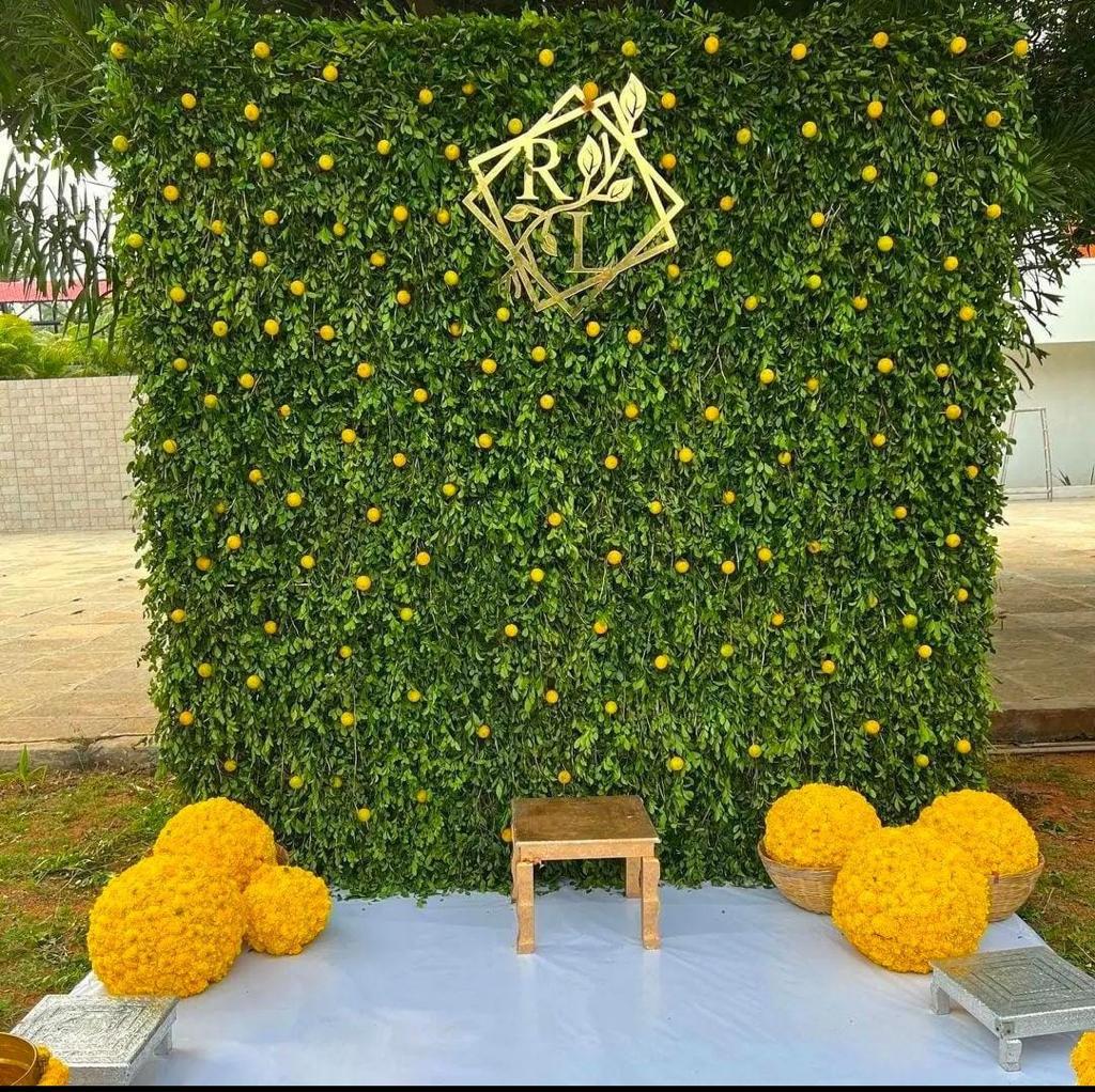 Haldi Mahandi Backdrowp Stage